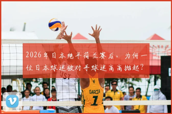 2026年日本绝平荷兰赛后,为何一位日本球迷被对手球迷高高抛起?深入解读足球场上的动人友谊